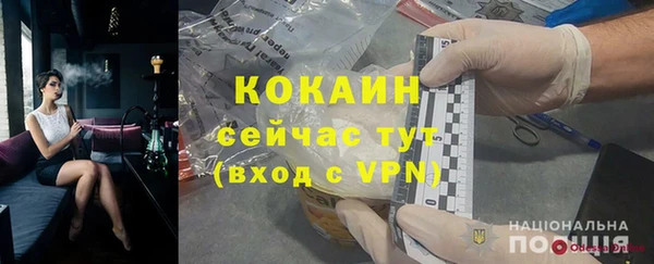 молекула духа Коряжма