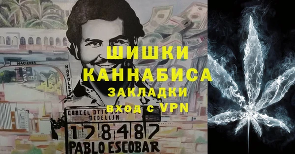 гидра Козловка