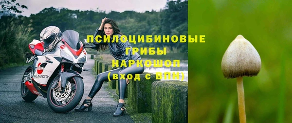 mdpv Кодинск