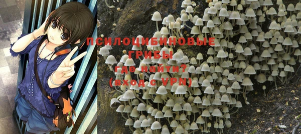 мяу мяу мука Козельск