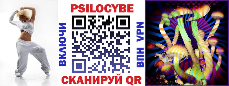 Псилоцибиновые грибы мицелий  купить наркотики цена  блэк спрут вход  Кондрово 